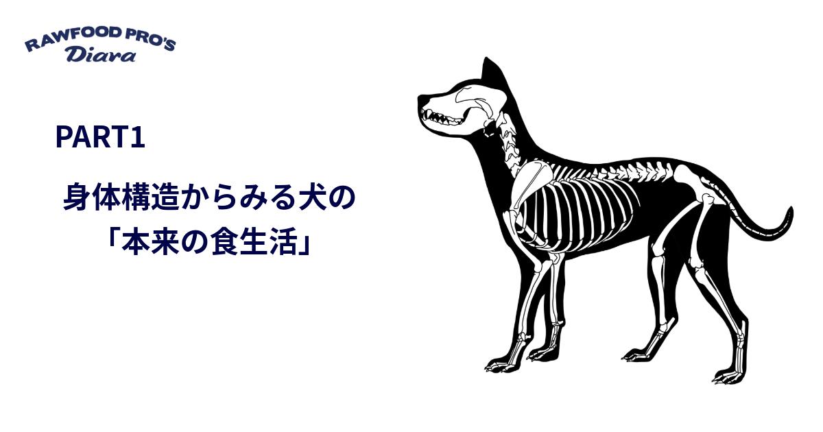 身体構造からみる犬の「本来の食生活」