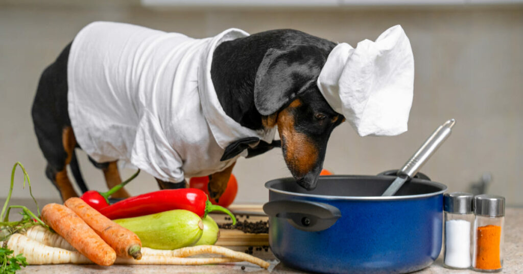 犬はもやしを食べても大丈夫？適量や効果を徹底解説