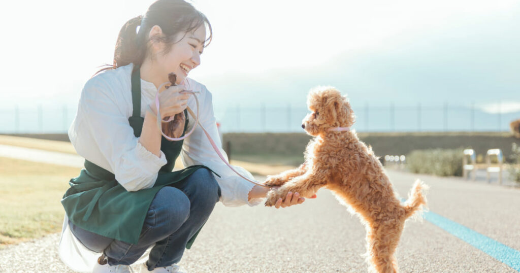 子犬の散歩はいつから？散歩デビューの時期・練習方法・注意点を解説