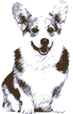 馬肉パーフェクトプラス