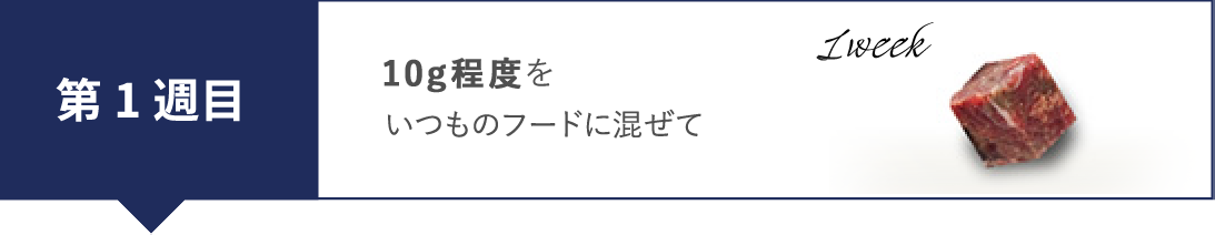 第１週