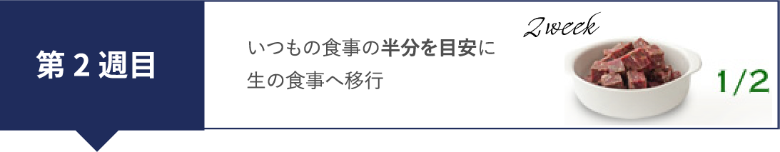 第２週