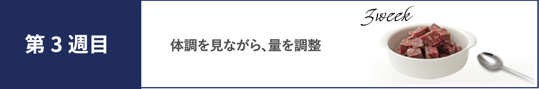 第３週