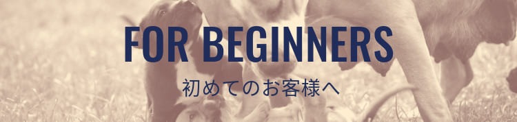 初めての方へ