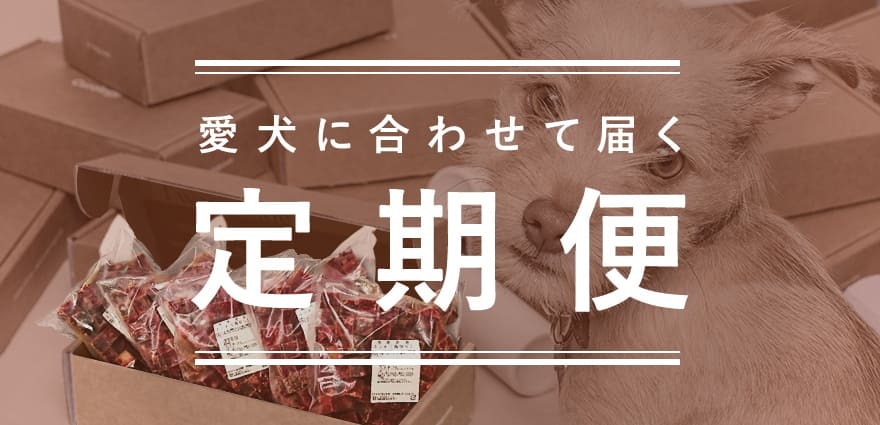 定期便
